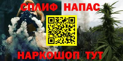 стаф Тара