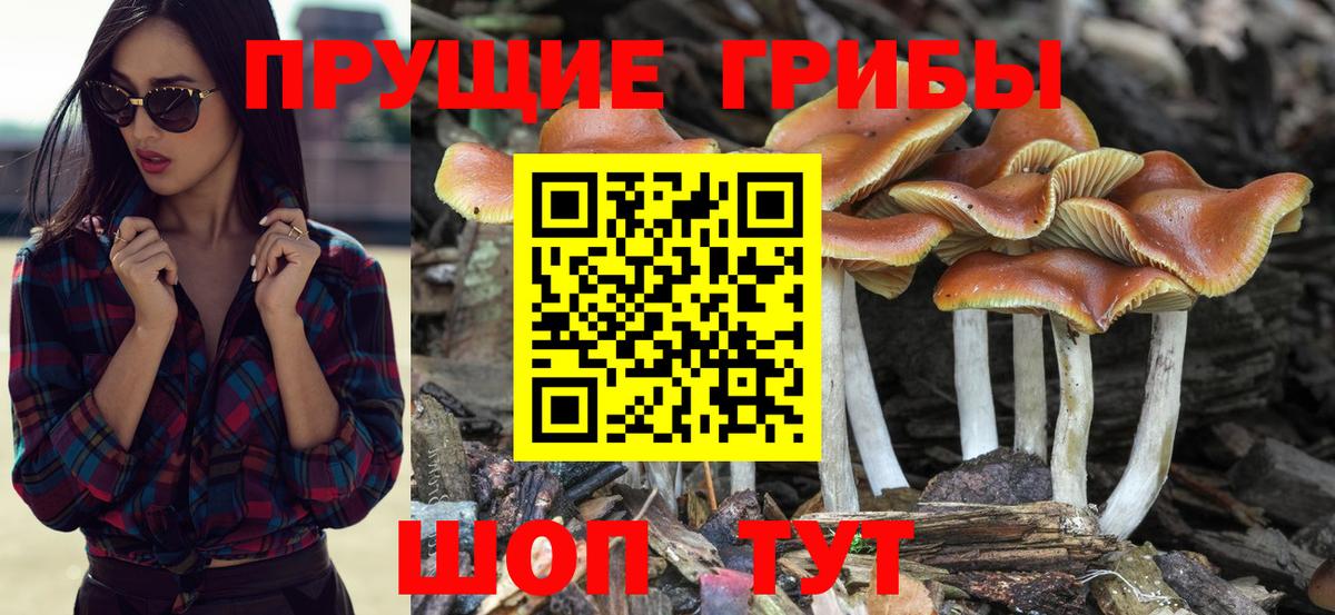 наркотики  Галлюциногенные грибы мухоморы  Вход с VPN  Нижневартовск 